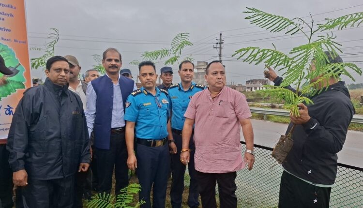 वातावरण संरक्षणका लागि वीरगंजमा वृक्षारोपण
