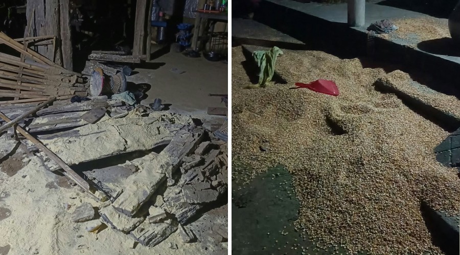 ठोरीमा जंगली हात्तीको आतंक, दुई जना घाइते: घर र अन्नबालीमा क्षति