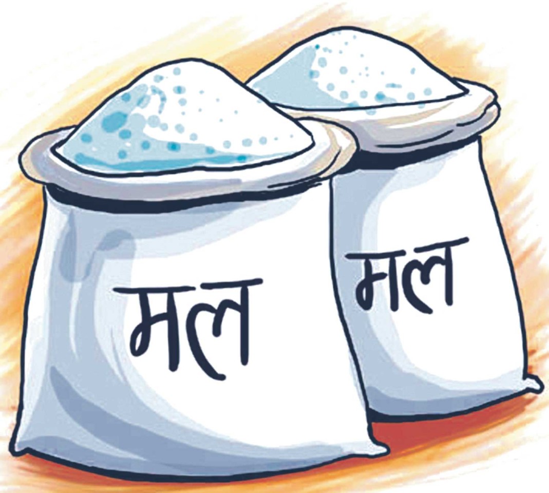 साल्ट ट्रेडिङको दुई र्‍याक युरिया मल वीरगञ्ज नाका हुँदै नेपाल भित्रियो