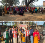 परवानीपुरमा निःशुल्क पशु स्वास्थ्य तथा बाँझोपन निवारण शिविर सम्पन्न