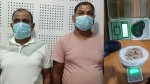 पर्सामा १५४ ग्राम ब्राउन सुगर र अफिमजस्तो पदार्थसहित दुई जना पक्राउ