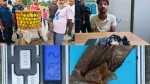 जिल्ला प्रहरी कार्यालय पर्साद्वारा २७ ग्राम २९० मिलिग्राम ब्राउन सुगरसहित भारतीय नागरिक पक्राउ