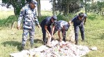 पर्सामा तीन लाखभन्दा बढीका अवैध पटाका बरामद गरी नष्ट