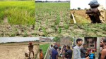 पानीको पर्खाइमा मधेश : खेत सुक्खा, जनजीवन संकटमा