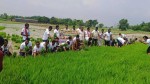 जगरनाथपुर गाउँपालिकाले २२औं राष्ट्रिय धान दिवस  भब्य रुपमा मनायो 