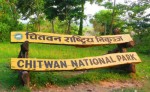 एक वर्षको अवधिमा चितवन निकुञ्जमा ८३ वन्यजन्तुको ज्यान गयो