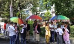 उद्योग वाणिज्य महासंघ निर्वाचनमा उत्साहपूर्वक चहलपहल
