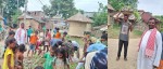 प्रसौनी बिर्तामा १० हजार निःशुल्क बिरुवा वितरण