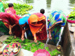आज जितिया पर्वको ‘ओगटन’ 