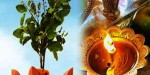 आकाशदीप दान, कात्तिक स्नान, तुलसीको विशेष पूजा शुरू
