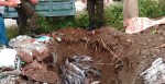पर्सामा उत्पादित नेपालमै प्रतिबन्धित मागुर माछा हेटौँडामा बरामद, ५ लाख जरिवाना