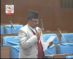 पर्साका जीर्ण पुलहरूको पुनर्निर्माण गर्न सांसद  हजराको माँग