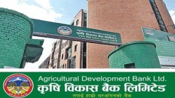 कृषि विकास बैंकको नाफा प्रतिशतमा गिरावट  
