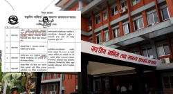 पर्सा जिल्लाका स्थानीय सरकारहरू भ्रष्टाचारमा चुर्लुम्मा, सरकारको कडा निर्देशन