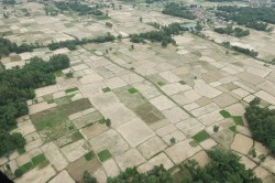 विपद् संकटग्रस्त मधेशमा कृषि बाली परिवर्तन गर्ने विज्ञको सुझाव