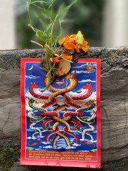 देशभर श्रद्धा र भक्तिसाथ नागपञ्चमी पर्व मनाइँदै