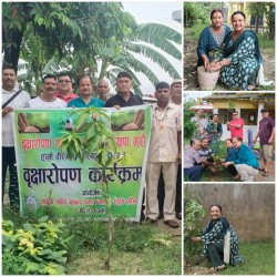 शैक्षिक सहिद मुकुन्द प्रसाद खनाल स्मृति प्रतिष्ठानद्वारा वृक्षारोपण