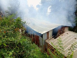 सिन्धुपाल्चोकको पशु फार्ममा आगलागी, ५० बाख्राको ज्यान गयो