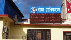 जेनजी प्रदर्शनमा २२ अर्ब २५ करोड बराबरको बिमा दाबी