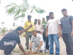 नयाँ बसपार्कमा वृक्षारोपण, वीरगन्जलाई हराभरा बनाउने महानगरको अभियान
