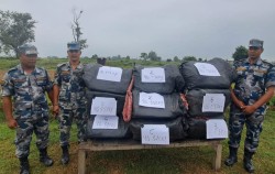 भारततर्फ लैजाँदै गरेको १५२ किलो गाँजा सशस्त्र प्रहरीको नियन्त्रणमा