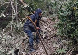 पाल्पामा टिप्पर दुर्घटना, चालकको घटनास्थलमै मृत्यु