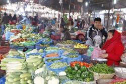यस्तो रहेको छ कालीमाटीमा तरकारीको भाउ