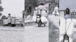 अमरपट्टी अलौ लगायतका नाका तश्करहरुको लागि फलिफाल