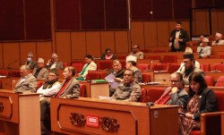 राष्ट्रिय सभाका बैठक अब फागुन महिनामा तीनवटा मात्रै बस्ने