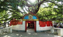 मोरङको पुरानो सदरमुकाम रंगेली–७ मा रहेको संसारीमाई मन्दिरबाट मूर्ति र नगद चोरी