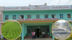 गण्डक नहरमा भारतले पानी नछोड्दा पर्सा–बारा–रौतहटका किसान चिन्तित