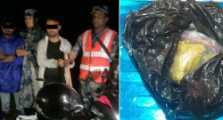 बाराबाट ८० ग्राम ब्राउन सुगरसहित दुई युवक पक्राउ