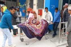 जंगली भालुको आक्रमणबाट एक महिला गम्भीर घाइते