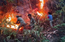 वनमा डढेलो निभाउन जाने क्रममा ८१ वर्षीय वृद्धको आगोमा जलेर मृत्यु