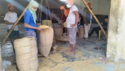 वीरगञ्जमा टोकन प्रणालीमार्फत धान खरिद तीव्र, ४ हजार क्विन्टलभन्दा बढी सङ्कलन