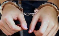  त्रिभुवन अन्तर्राष्ट्रिय विमानस्थलबाट एक जना भारतीय नागरिक ४ किलो ४८० ग्राम गाँजासहित पक्राउ