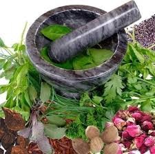 आर्थिक वर्ष आठ करोडको जडीबुटी निर्यात
