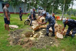 पर्सामा ४ हजार प्रतिबन्धित बोईलर कुखुरा चल्लासहित मोटरसाइकल बरामद, खाडल खनेर नष्ट