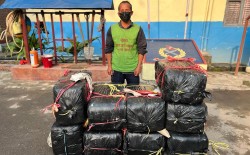 धरानमा गोली हानेर लागुऔषध ओसारपसारमा संलग्न पक्राउ, २ सय ३० किलो गाँजा बरामद