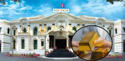 नेपाल राष्ट्र बैंकले दैनिक सुन आयात कोटा बढायो