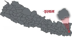 किशोरी हराएको १५ दिन पछि शव गाडिएको अवस्थामा फेला