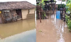 वीरगंजमा अविरल वर्षाको असरः बस्तीमा  बाढी पस्दा जनजीवन कष्टकर