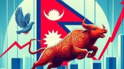 दोहोरो अंकले बढ्यो सेयर बजार