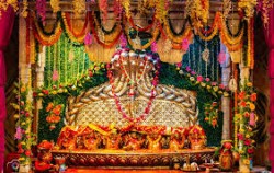  पर्साको प्रसिद्ध गहवामाईको दोस्रो रथयात्रा असार २३ गते निकालिने