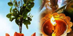आकाशदीप दान, कात्तिक स्नान, तुलसीको विशेष पूजा शुरू