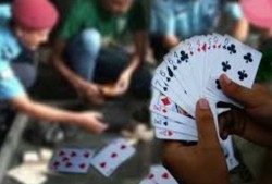 जुवातास खेलिरहेको अवस्थामा १७ जना पक्राउ 