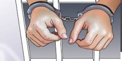 बैंककबाट ११ किलो गाँजा लिएर आएका ३ भारतीय विमानस्थलमा पक्राउ