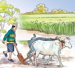 किसान सूचीकरण कार्यक्रममा २३ लाख ८० हजार किसान सूचीकृत  