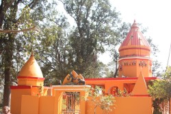 पर्साको जिराभवानी मन्दिर मेलामा मनोमानी कर असुली, ठेकेदारमाथि व्यापारीको आरोप