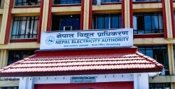बक्यौता नतिर्दा प्राधिकरणको कडा कदम : ६ उद्योगको लाइन काटियो
